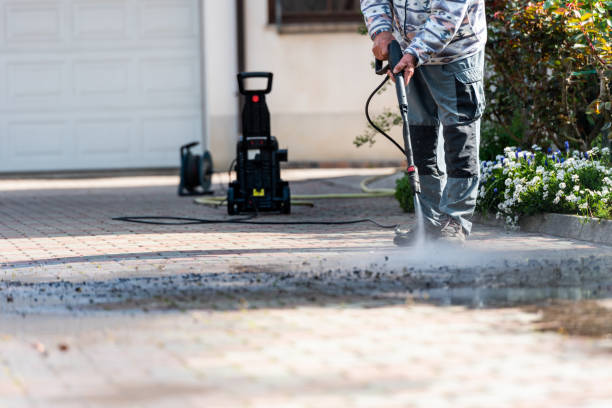 Best Seasonal Cleaning Services in Stlman Valley, IL